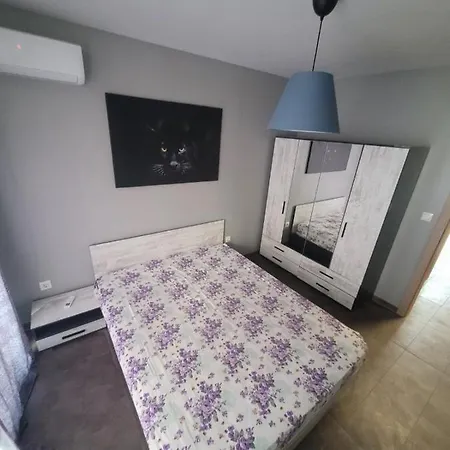 Maxi Homes
