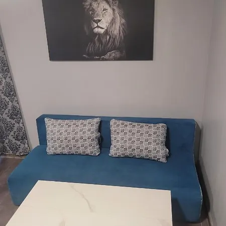 Maxi Homes София